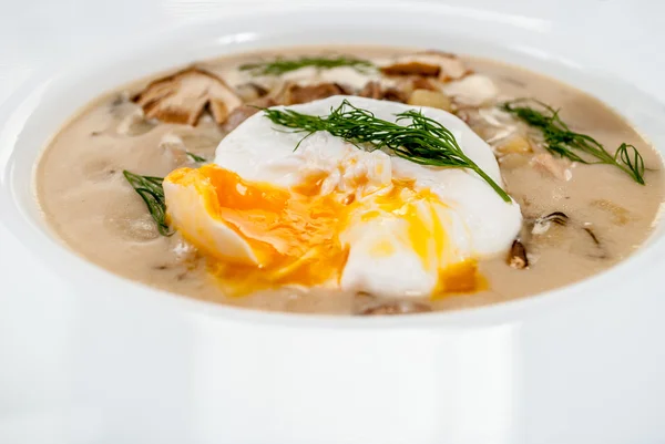 Tschechische Dillsuppe — Stockfoto