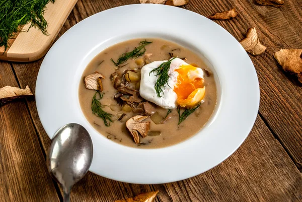 Tschechische Dillsuppe — Stockfoto