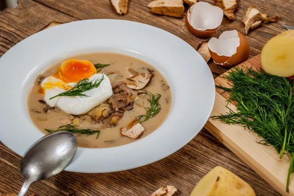 Sopa de endro checo — Fotografia de Stock