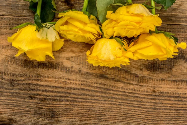 Rosas amarillas — Foto de Stock