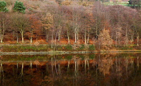 Herfst bos reflecteren op een oppervlak van meer — Stockfoto