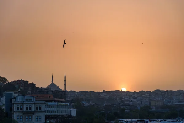 Панораму Стамбула на заході сонця. — стокове фото