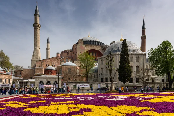 Hagia Sofia och tulpaner i Istanbul Turkiet — Stockfoto