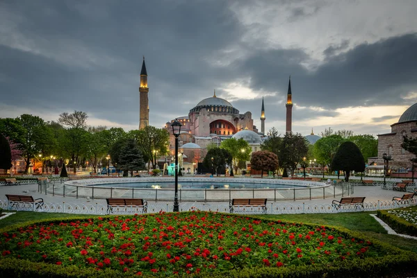 Tulipanes y Santa Sofía en Isanbul, Turquía — Foto de Stock