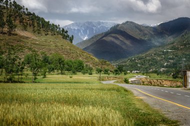 Manzara Swat Pakistan