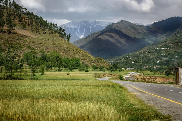 Краєвид Swat Пакистану — стокове фото