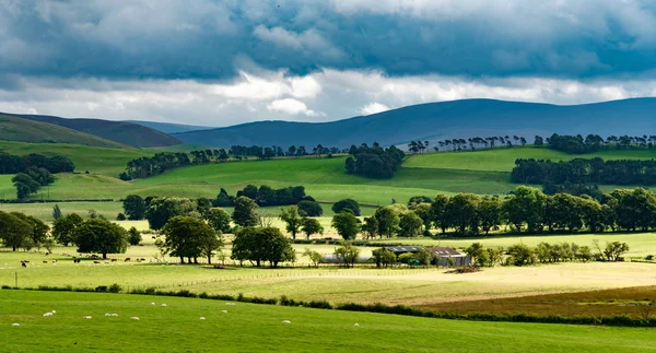 Krajobraz Scotland, Wielka Brytania — Zdjęcie stockowe