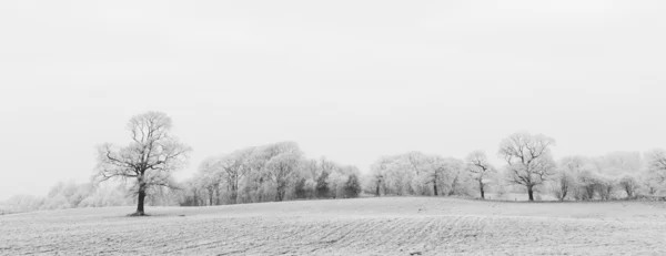 Verschneite Landschaft — Stockfoto