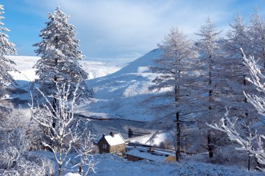 Peak District kar. Karla kaplı ağaçlar Vadisi tarafından çerçeveli evi.