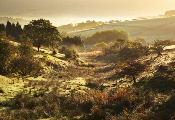 Британский пейзаж в одно прекрасное осеннее утро — стоковое фото