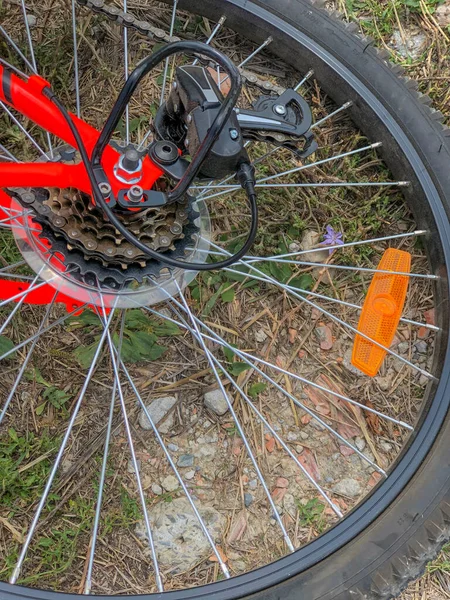 Red bicycle wheel close-up in the park top view. Transportation detail. Outdoor activity