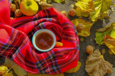 Kırmızı eşarpla kaplanmış turuncu çay fındık, elma, sarı yapraklar. Üst Manzara. Sonbahar hala hayattır. Geçmişi. Boşluğu kopyala
