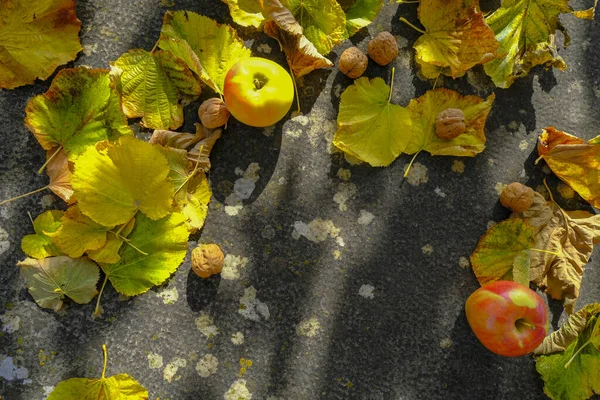 Gelbe Herbstblätter Nüsse Äpfel Auf Steinhintergrund Von Oben Gesehen Kopierraum — Stockfoto