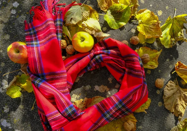 Red checked scarf on stone background with yellow leaves, apples, nuts. Top view. Autumn still life. Background. Copy space