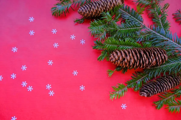 Kırmızı Arka Planda Köknar Dalları Koniler Kalınlar Olan Bir Noel — Stok fotoğraf