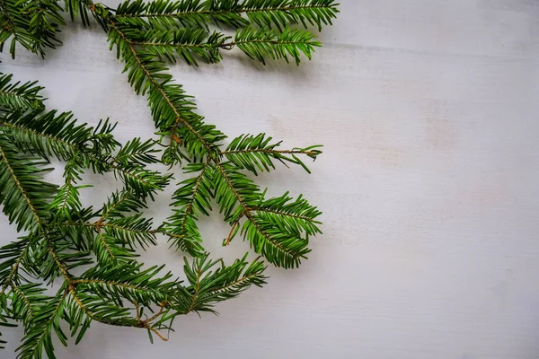 Beyaz Ahşap Arka Planda Noel Ağacı Dalları Var Uzayı Kopyala — Stok fotoğraf