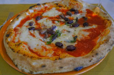 Bir tabakta peynirli, domatesli, ançüezli ve zeytinli Napoli pizzası. Üst Manzara. Yiyecekler. İtalyan mutfağı 