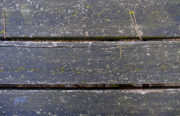 Staré Dřevěné Pozadí Jehličí Jedle Zblízka Horní Pohled Strukturované Pozadí — Stock fotografie