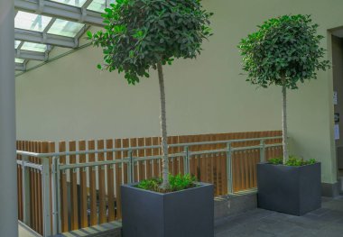 Binanın içinde iki büyük fabrika var. İç dizayn. Bitki dekoru. Alışveriş merkezi, iş merkezi.