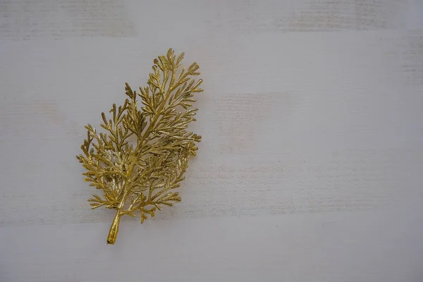 美丽的金枝在白色木制背景的特写 顶部视图 复制空间 植物学珠宝 黄金装饰 — 图库照片