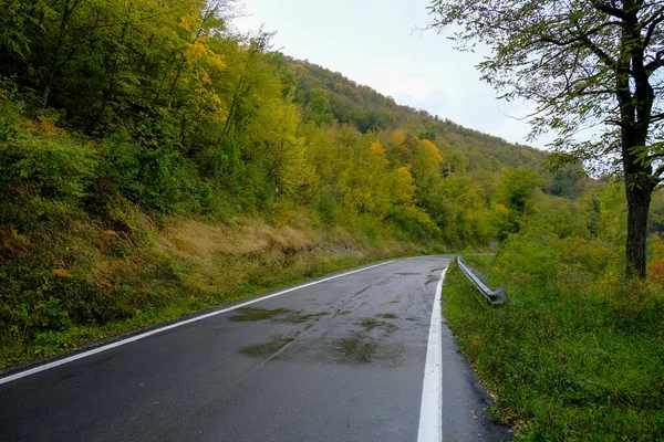 Wet road after rain in the woods. Road asphalt close-up. Transportation infrastructure. Movement, travel, ride, drive concept