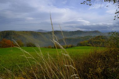 Bulutlu gökyüzünde sisli dağlar, yeşil tarlalar, kuru otlar. Doğal arkaplan