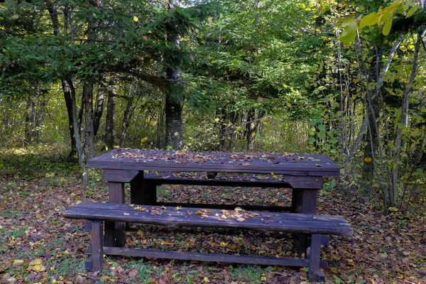 Banc Bois Dans Parc Couvert Feuilles Jaunes Tombées Travers Les — Photo