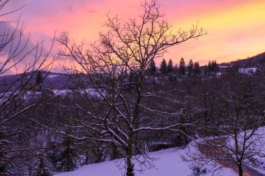 Kışın, karlı ormanın ve dağların manzarası, dağlarda yol güzel günbatımında..