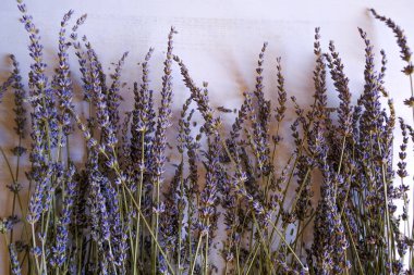 Beyaz ahşap arka planda kuru lavanta sınırı. Üst Manzara. Uzayı kopyala Kozmetik doğal malzeme.. 