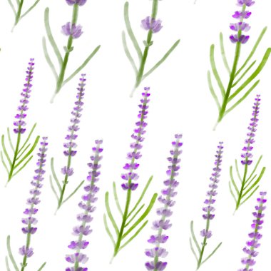 Beyaz arkaplanda suluboya lavanta deseni var. baskı, keten, yatak, ambalaj, duvar kağıdı, tekstil, mutfak, çatal bıçak tasarımı