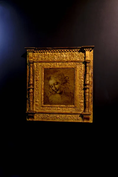 Február 2021 Parma Olaszország Festmény Vezetője Egy Leonardo Vinci Nemzeti — Stock Fotó
