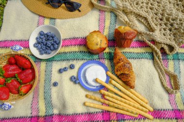 ... saman tabaktaki olgun çilekler, hasır şapka, güneş gözlükleri, boş bardaklar ve ekoseli pastalar. Üst Manzara. Parkta yaz pikniği