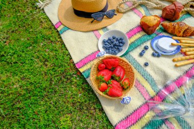 ... saman tabaktaki olgun çilekler, hasır şapka, güneş gözlüğü, boş bardaklar ve yeşil çimenlikteki kareli ekose üzerindeki pastayla dolu bir hayat. Üst Manzara. Yaz pikniği. Boşluğu kopyala