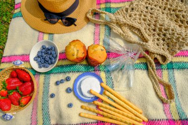 ... saman tabaktaki olgun çilekler, hasır şapka, güneş gözlükleri, boş bardaklar ve ekoseli pastalar. Üst Manzara. Parkta yaz pikniği