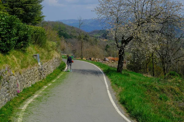 Uomo Falciare Erba Con Olio Erba Strumento Taglio Giardino Lavoro — Foto Stock