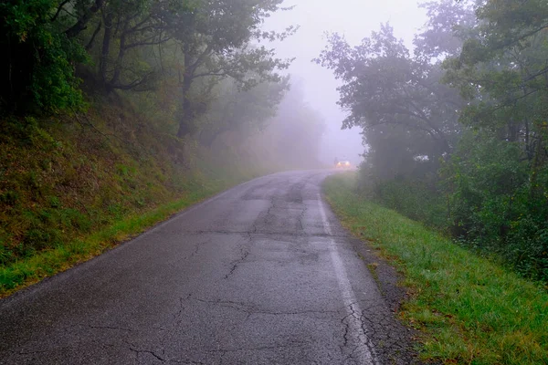 電気のついた霧の運転中の車です 緑の森 曇りの空を渡って山の中で霧の道 — ストック写真