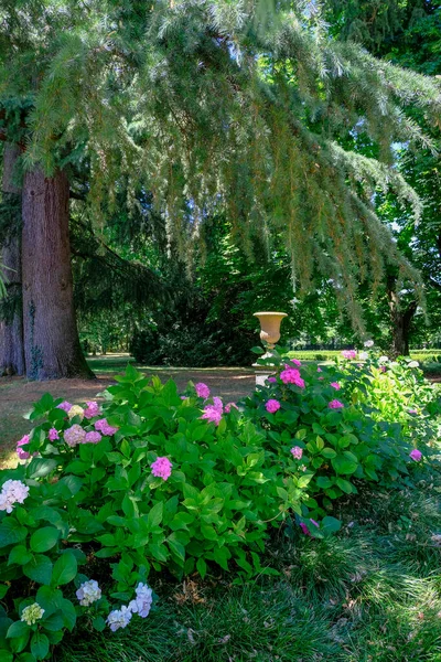 Parma Italia Hermoso Jardín Con Jarrones Fundación Magnani Rocca Vertical —  Fotos de Stock