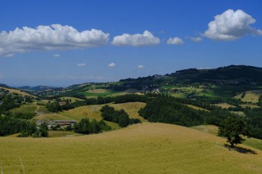 Arazi ve mavi gökyüzü ile yaz manzarası. Kırsal görüş. Doğal arkaplan