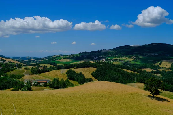 Arazi ve mavi gökyüzü ile yaz manzarası. Kırsal görüş. Doğal arkaplan