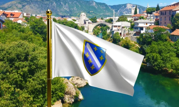 Σημαία Βοσνίας 1992 1998 Ljiljani Bih Ασπίδα Βόσνιου Εμβλήματος Render — Φωτογραφία Αρχείου