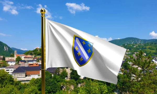 Bosnia Flag 1992 1998 Ljiljani Bih Flag Shield Bosnian Emblem — Stock Photo, Image