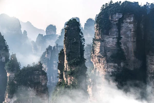 Parque Forestal Nacional Zhangjiajie, Hunan, China —  Fotos de Stock