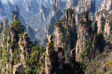 Zhangjiajie National Forest Park, Hunan, Çin