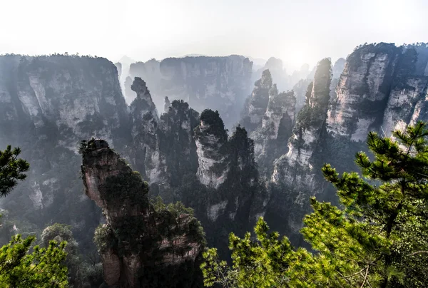 Zhangjiajie National Forest Park, Hunan, Čína — Stock fotografie