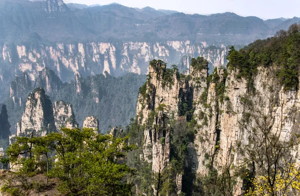 Parque Forestal Nacional Zhangjiajie, Hunan, China —  Fotos de Stock