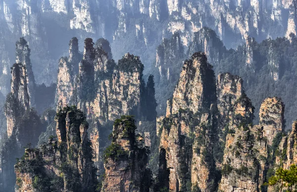 張り家界国立森林公園、湖南省、中国 — ストック写真