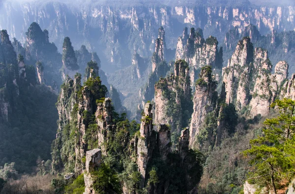 Zhangjiajie National Forest Park, Hunan, Çin