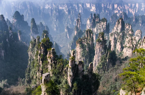 สวนป่าแห่งชาติ Zhangjiajie, หูหนาน, จีน — ภาพถ่ายสต็อก