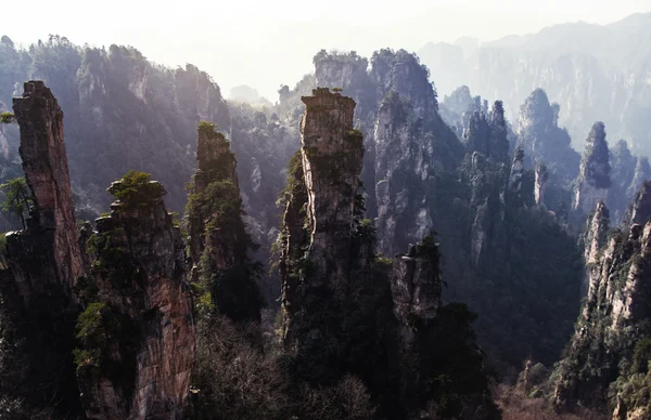 Zhangjiajie національного лісопарку, провінції Хунань, Китай — стокове фото