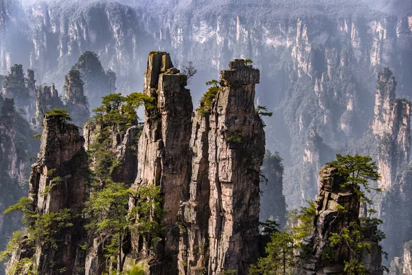 張り家界国立森林公園、湖南省、中国 — ストック写真